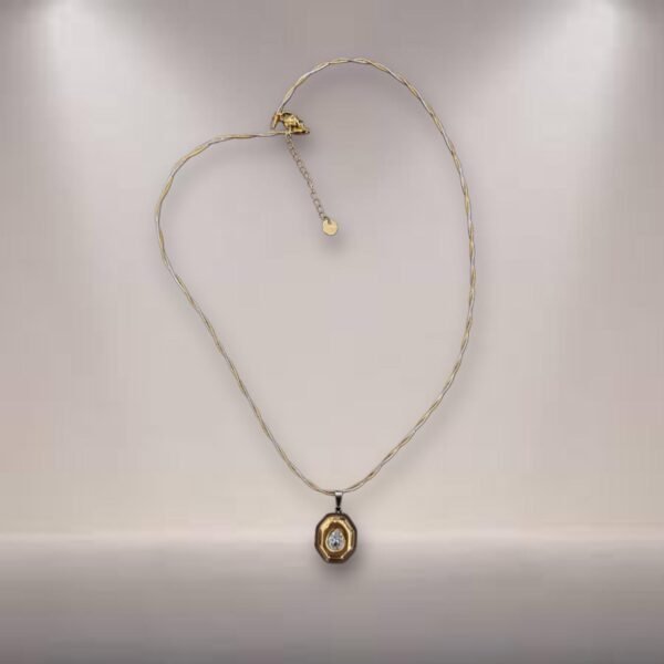 Stainless steel gouden juwelen ketting